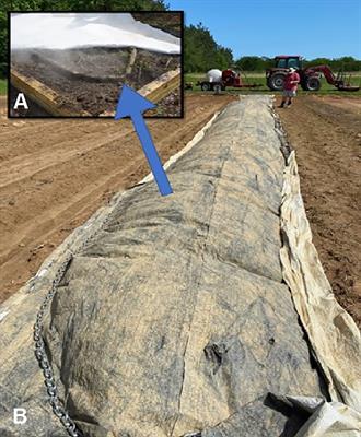 An integrated weed management approach in tomato using soil steaming, mulching, and winter cover crops